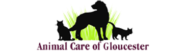 animal-care-of-gloucester